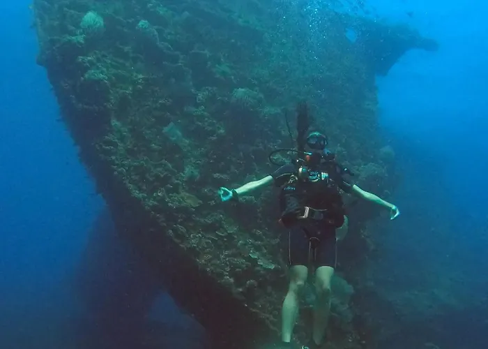 Kura Kura Divers