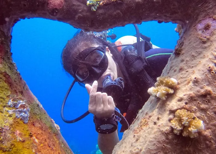 Kura Kura Divers リゾート アメッド