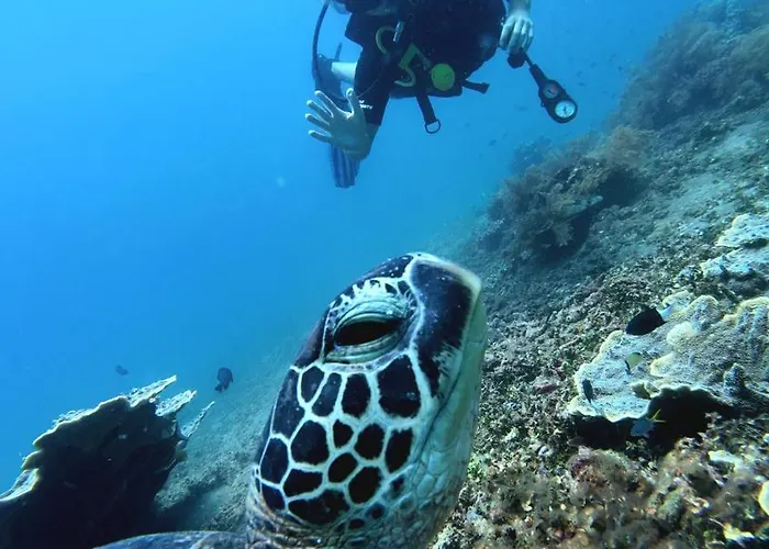 Kura Kura Divers リゾート アメッド